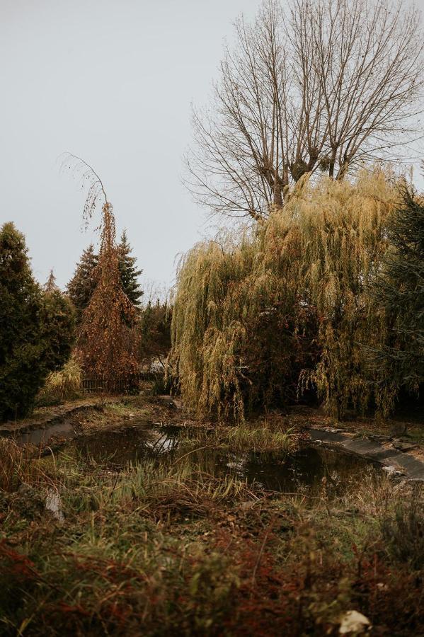 Villa Garden Olesnica  Exterior photo